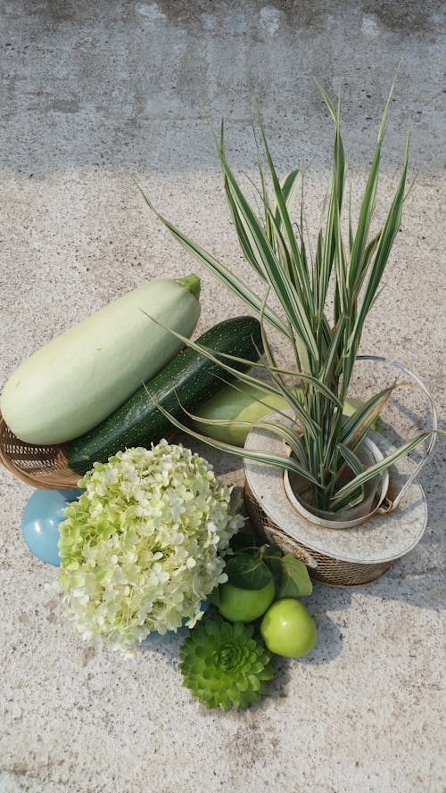 Gratis stockfoto met bloemen, courgette, decoratie