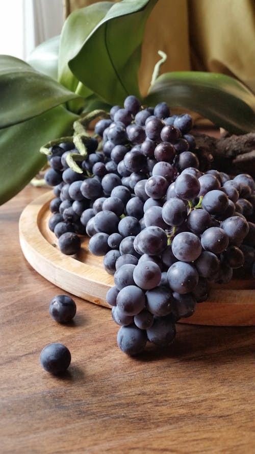 Darmowe zdjęcie z galerii z bukiet, cabernet sauvignon, czarne winogrona