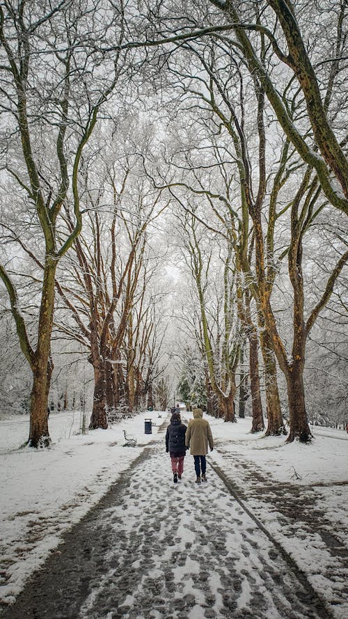 St George Park