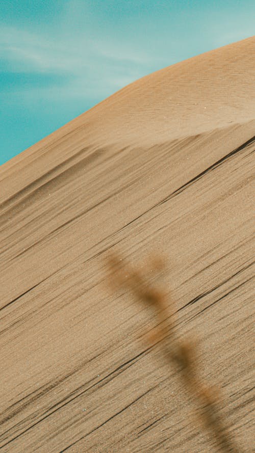 sand dunes 