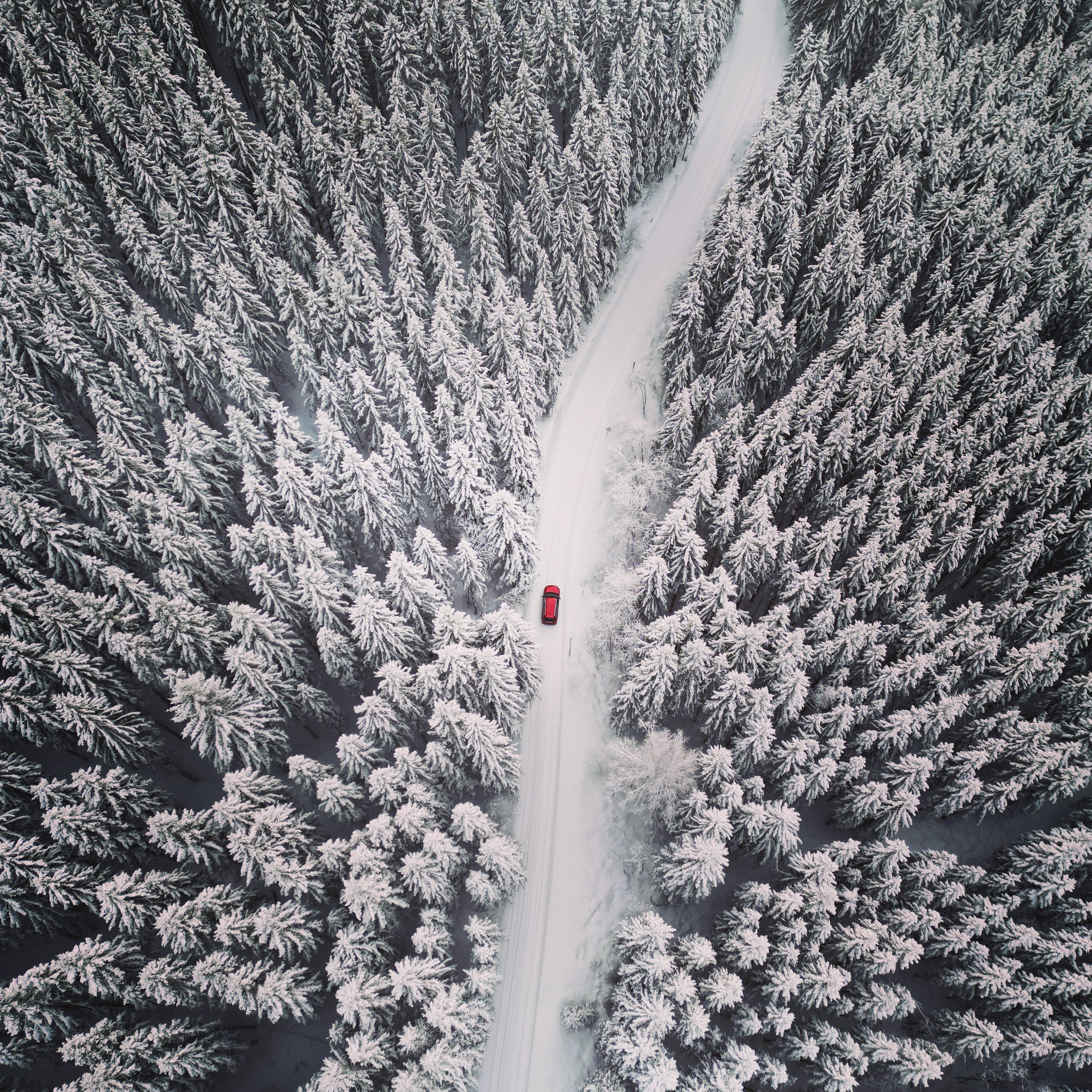 Drone shot car driving snowy forest road