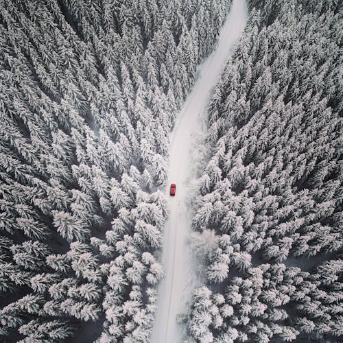 snowy road 