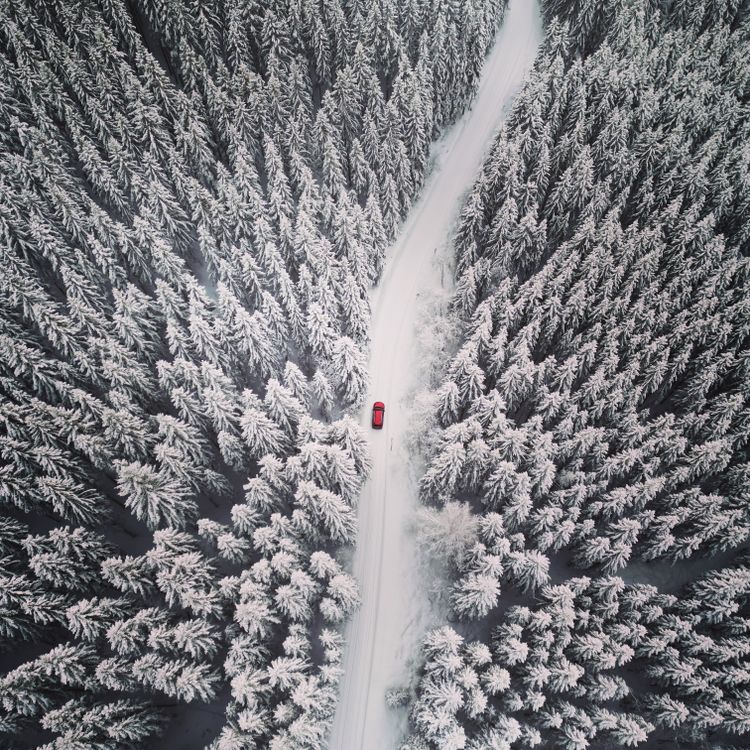 Drone Shot of a Red Car Driving on a Road in a Snowy Forest · Free ...