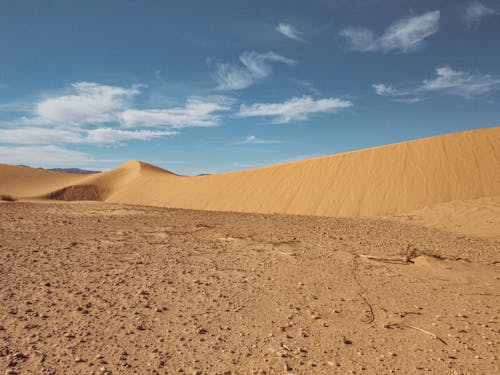 Kostnadsfri bild av algeriet, äventyr, ensam