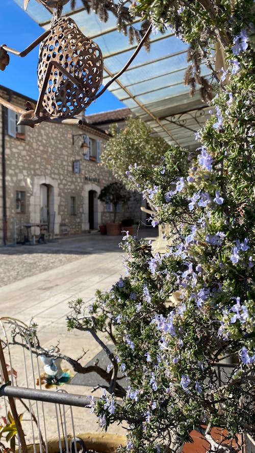 Fotos de stock gratuitas de abejas, arquitectura medieval, calentar