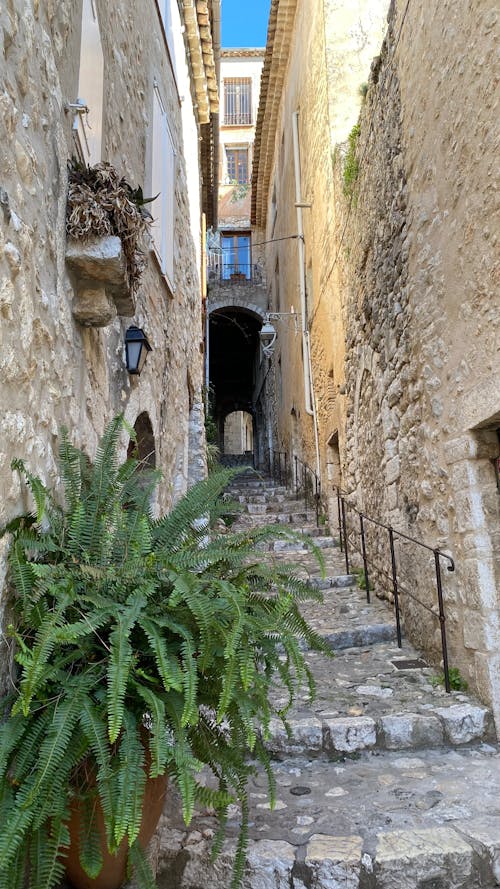 Fotos de stock gratuitas de arquitectura medieval, calentar, calle estrecho