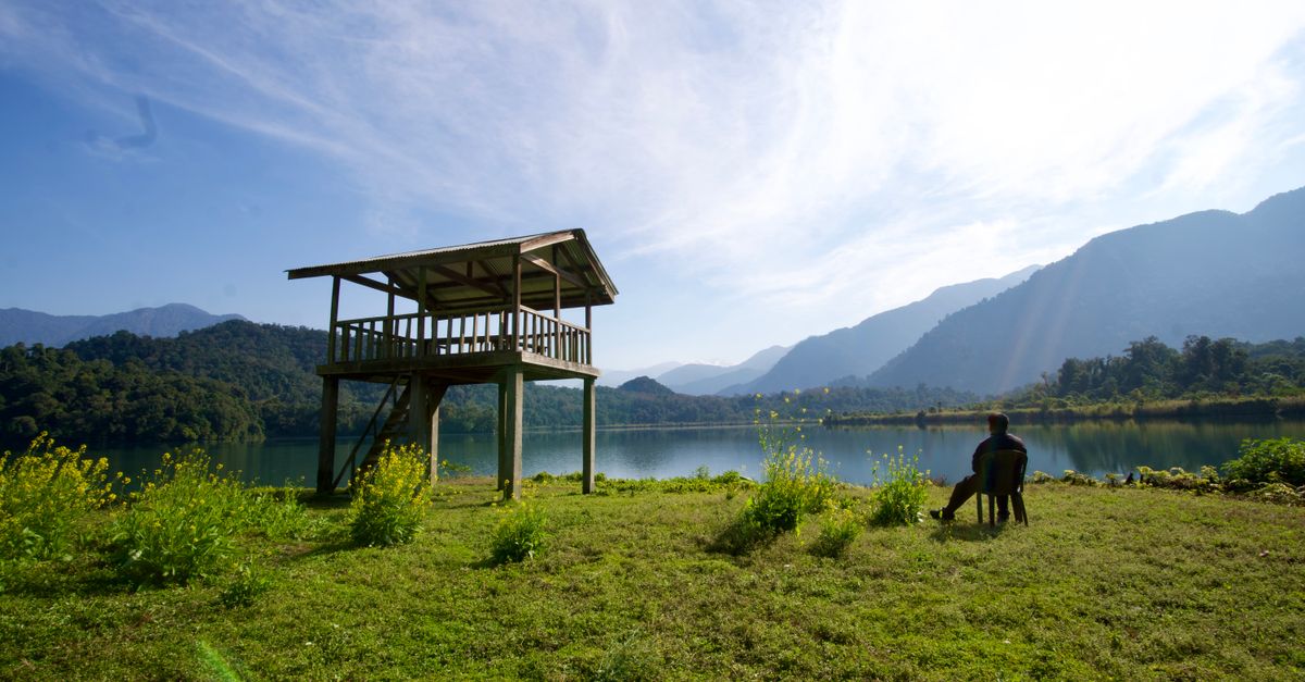 Arunachal Pradesh Wildlife: Arunachal's Fragile Ecosystems Face New Threats, Conservation Efforts Intensify