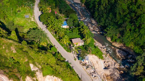 Photos gratuites de campagne, fleuve, forêt tropicale