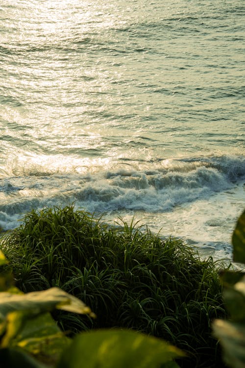 Kostenloses Stock Foto zu gras, meer, ozean