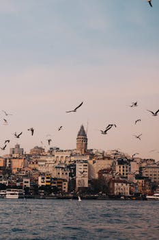 Beautiful view of the Galata Tower in Istanbul surrounded by flying seagulls during a stunning sunset.