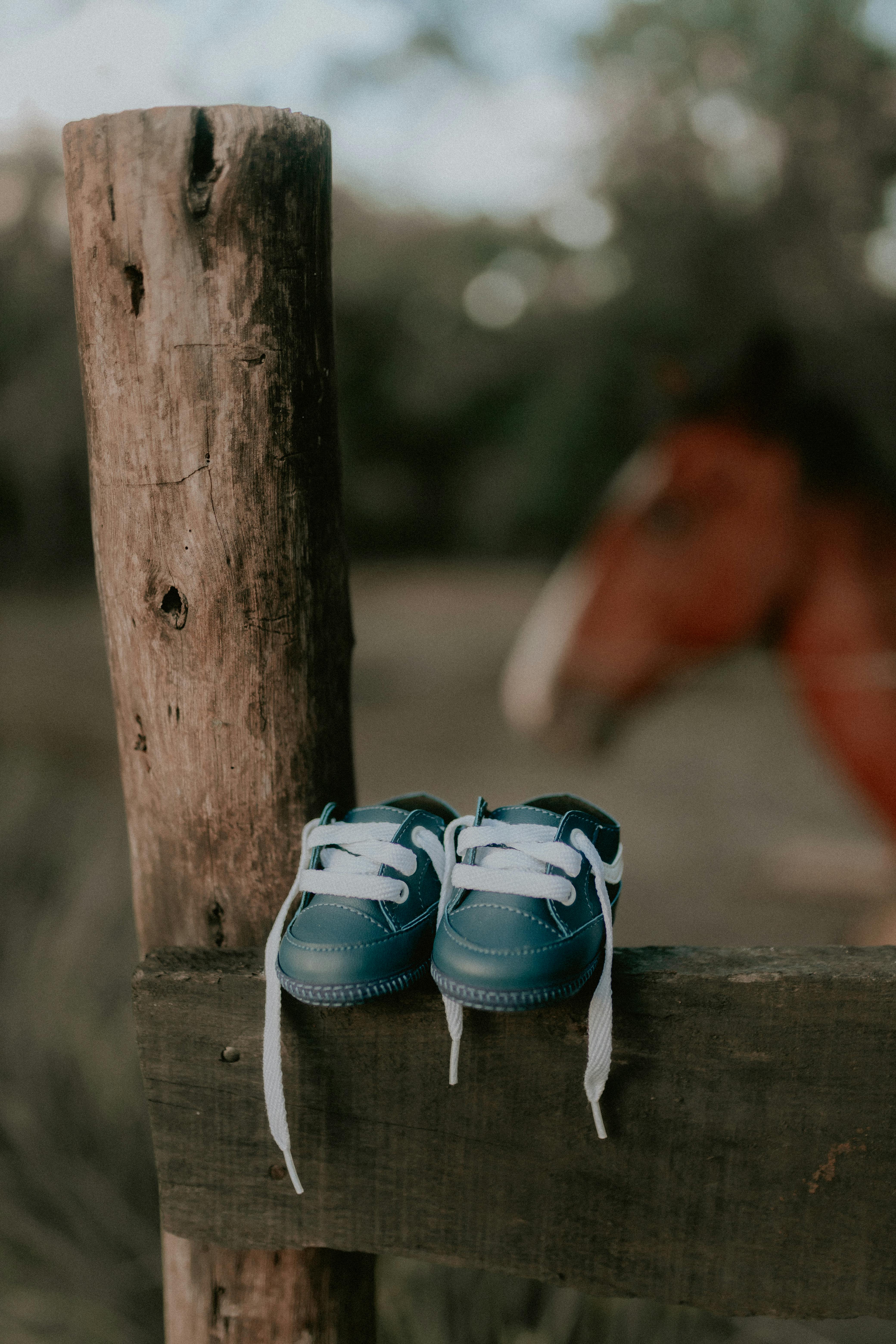 Rustic scene with baby shoes on a fence and a horse in the background.