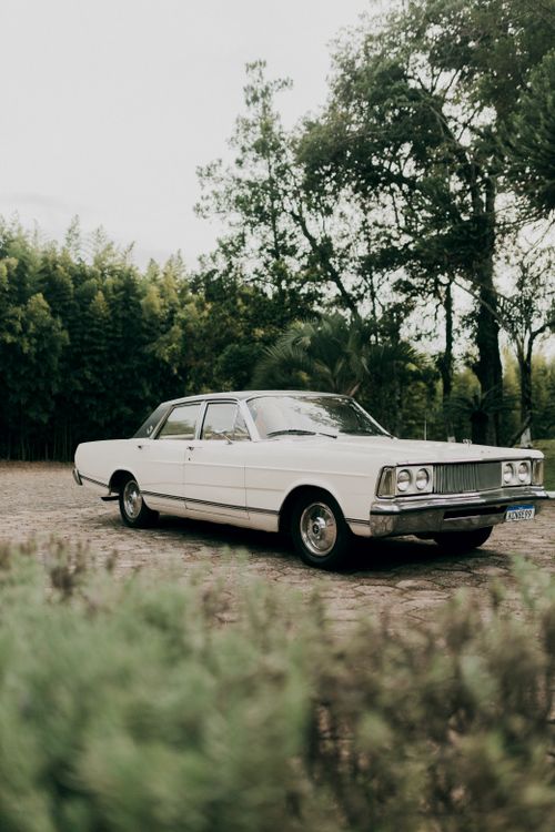 Free Vintage white Ford Galaxie parked amidst trees in a rural scene, showcasing classic automotive design. Stock Photo