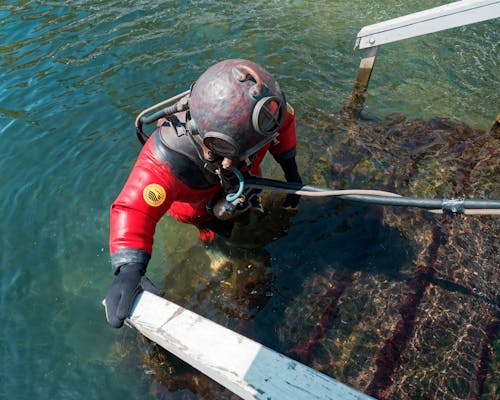 A diver in a scuba suit is standing on a dock