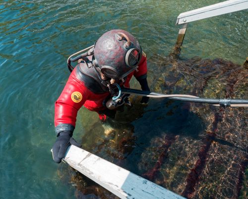 Free A diver in a red standard diving dress emerges from the sea, using a ladder. Stock Photo