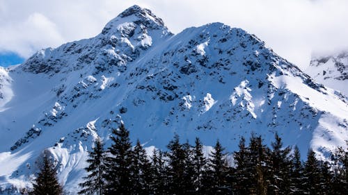 Foto profissional grátis de exorbitante, floresta, inverno