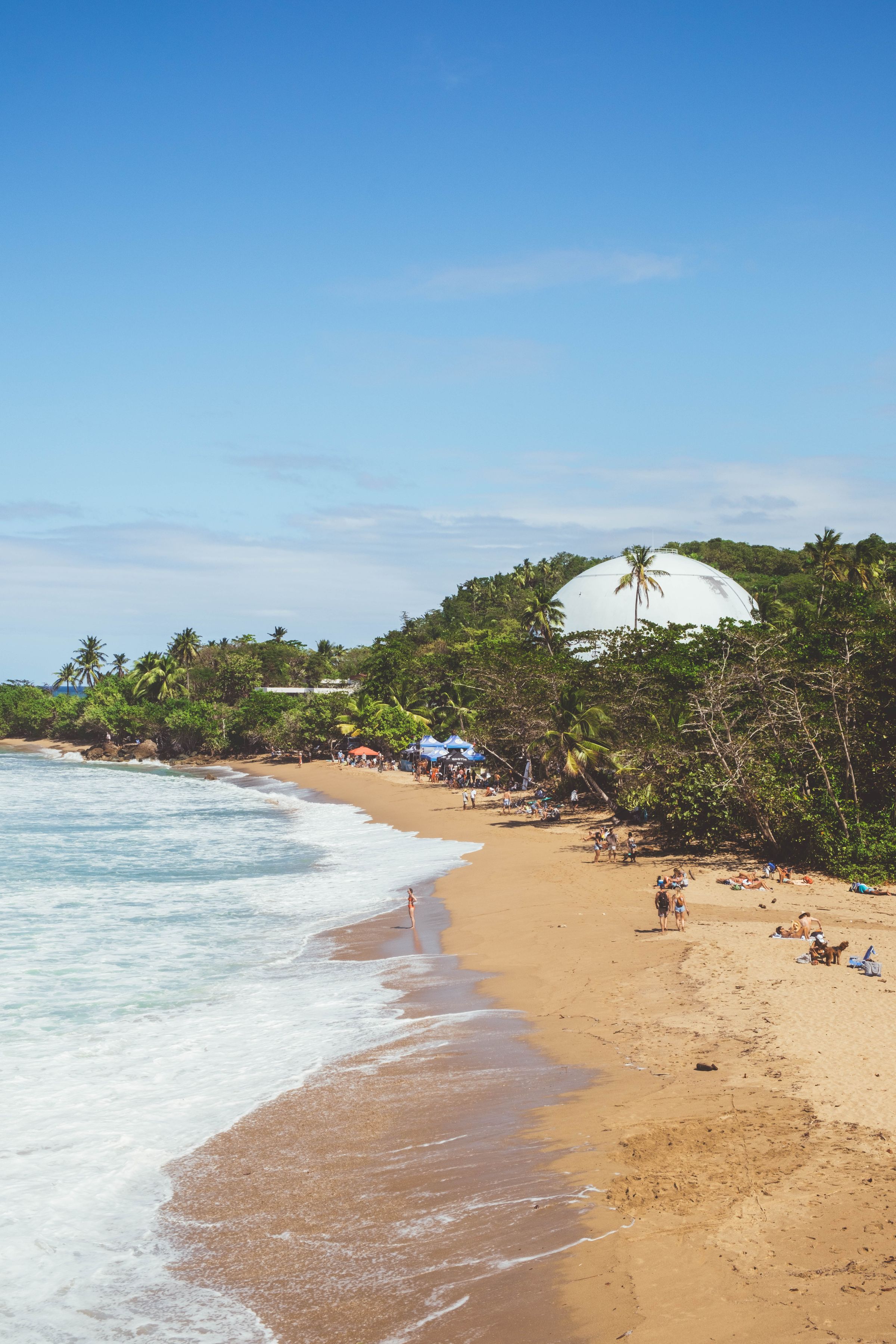 Aerial view of a beach near Rincón, Puerto Rico, palm trees along the shoreline