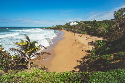 El Yunque rainforest day — Puerto Rico