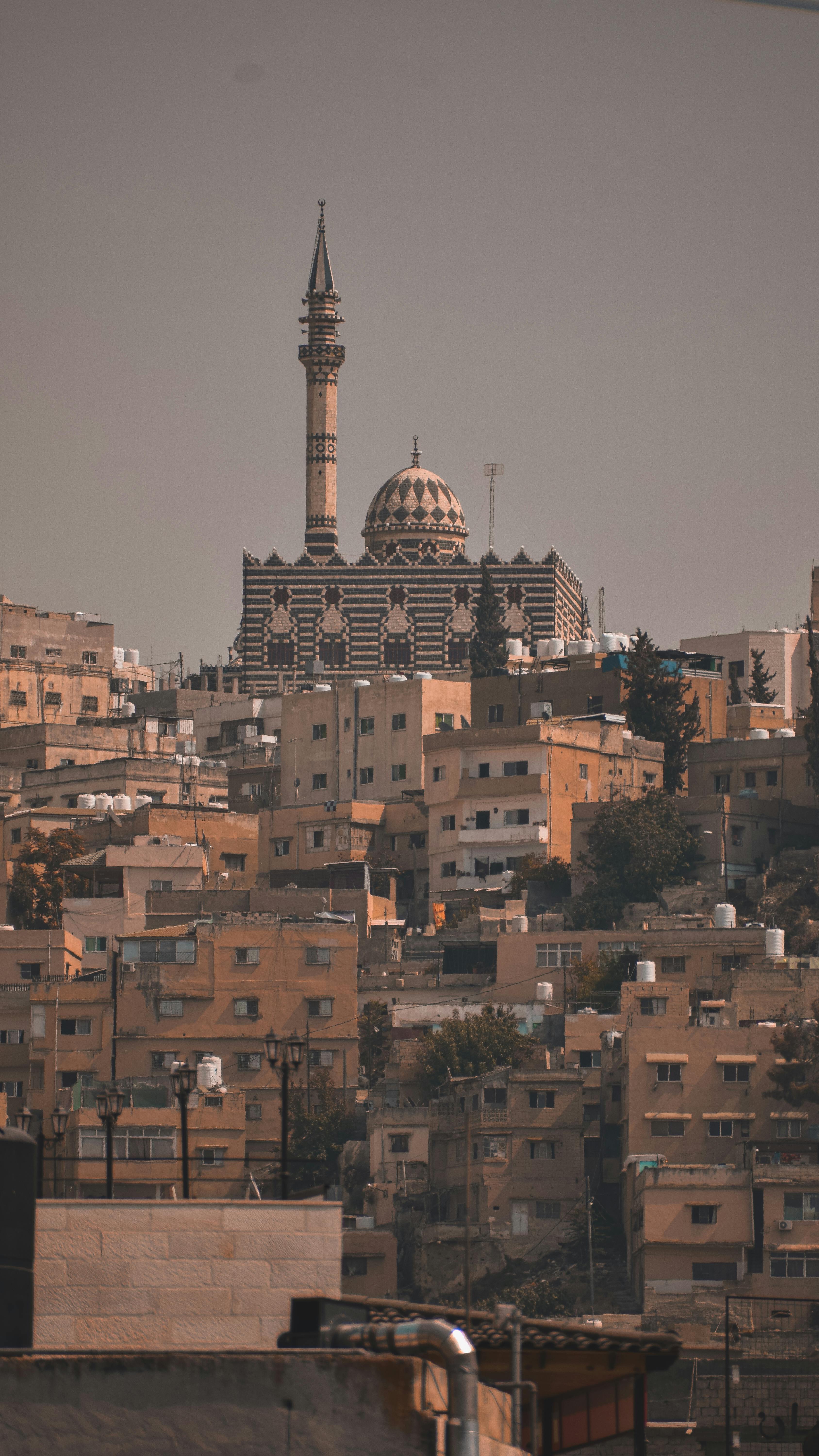 Vertical shot of Amman's cityscape featuring the iconic Abu Darwish Mosque.