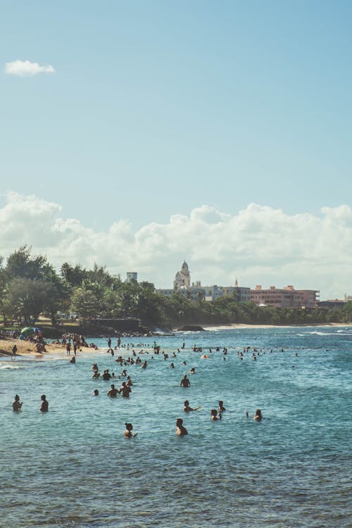 Free Tourists Swimming in the Sea Stock Photo