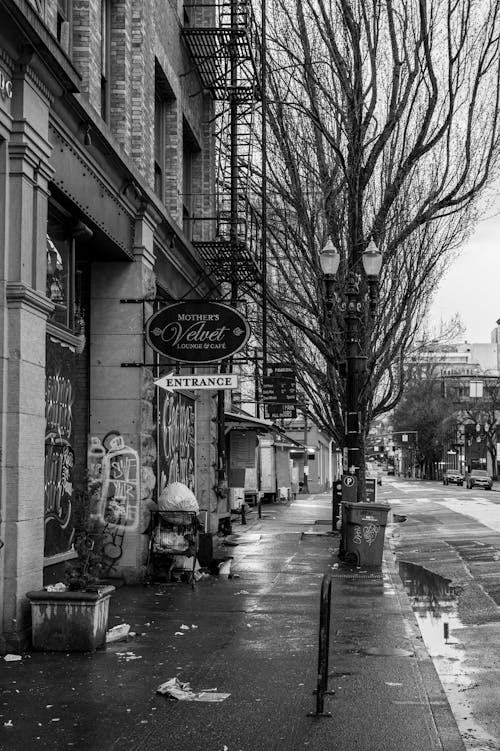 A black and white photo of a street with a tree