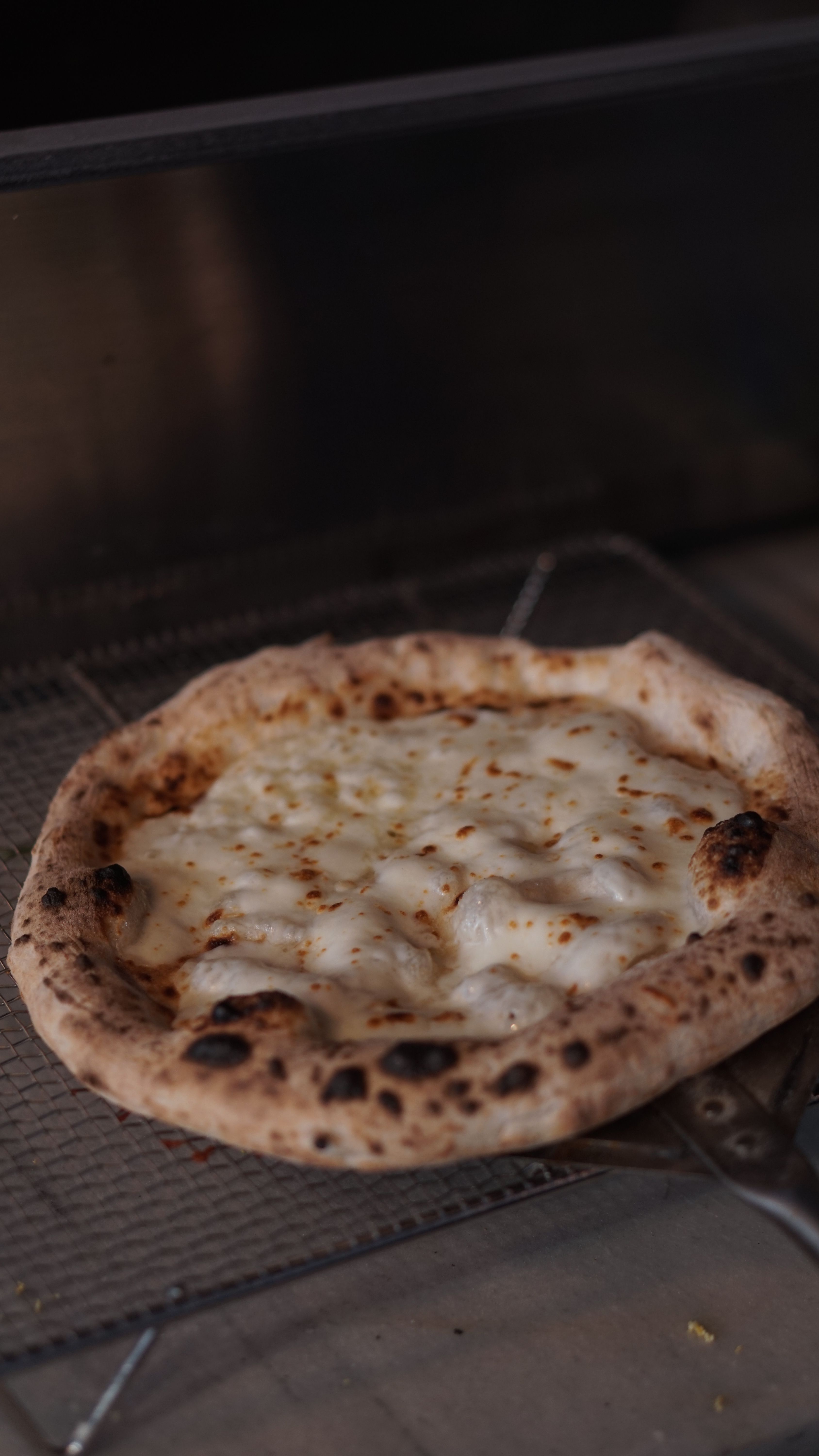 Close-up view of a delicious baked cheese pizza with melted cheese in an oven.