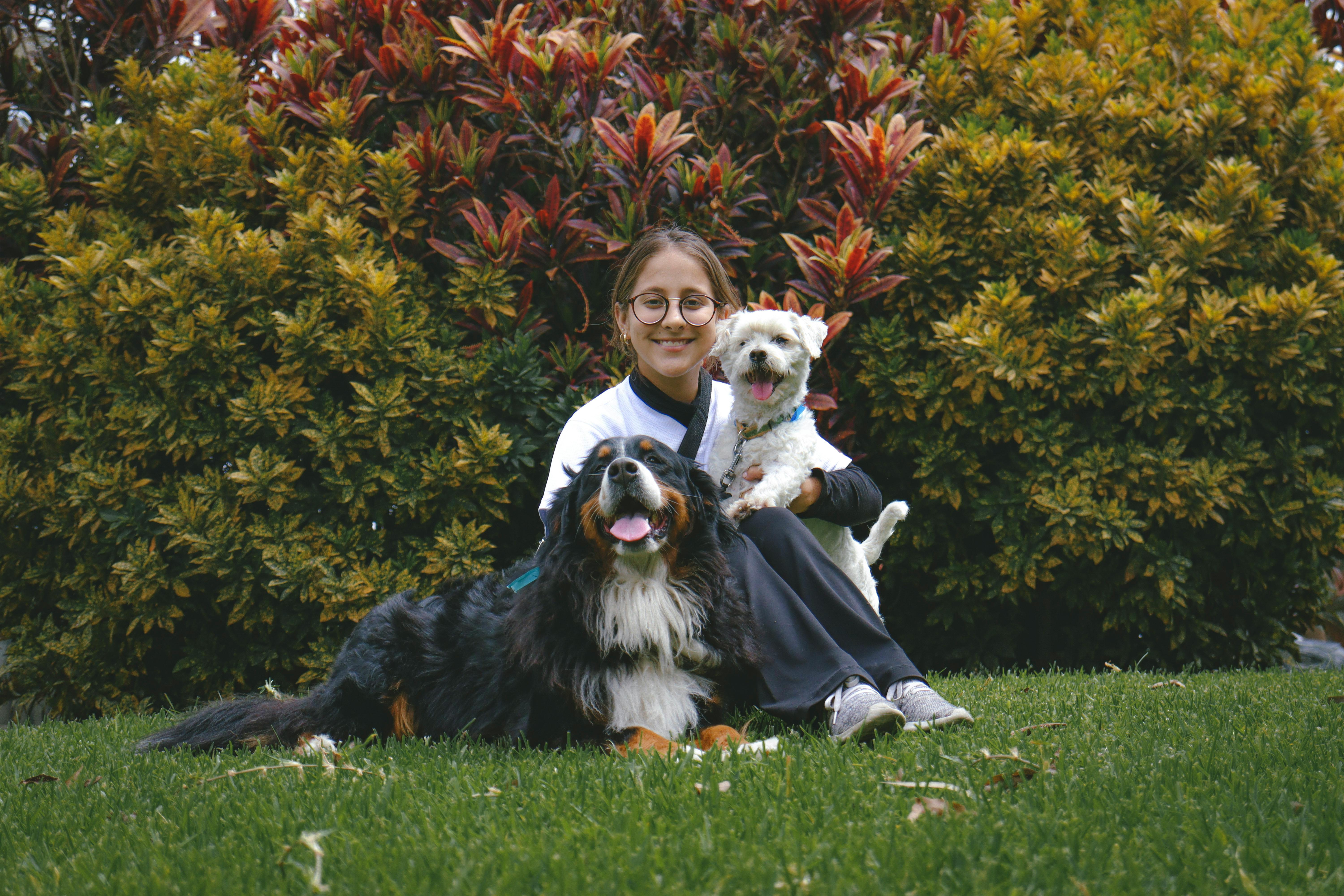 FinTech Pet Care Company Kennel Connection Announces Exclusive Diagnostic Partnership with Petwealth, Bringing Clinical-Grade