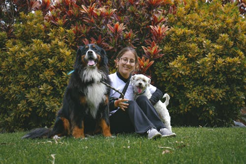 A woman sitting on the grass with two dogs