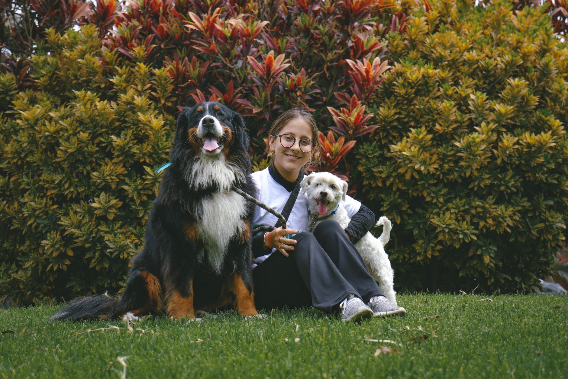 A smiling woman sits with two happy dogs in a lush garden, surrounded by colorful foliage — registered dog sitters
