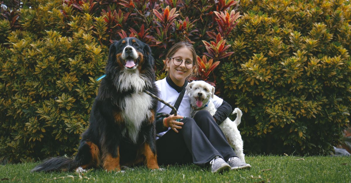 How One Dog Owner Found Peace of Mind and True Community on Her First Trip Away