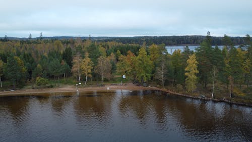 Lake and Deep Forest