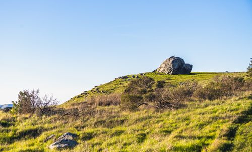 Free Peaceful landscape featuring a green hill, large rock, and vast clear sky. Stock Photo