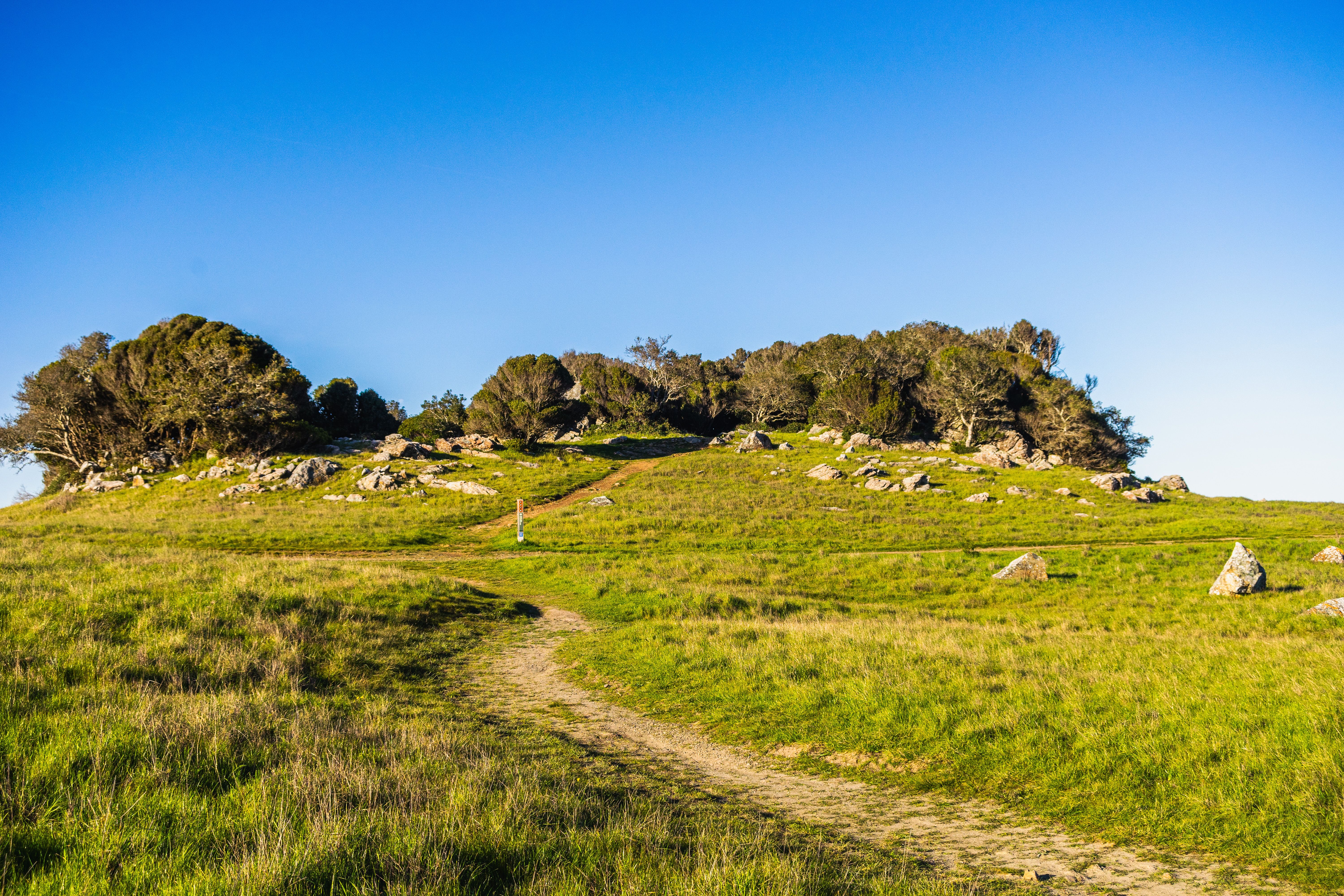 A dirt path leading to a grassy hill with rocks · Free Stock Photo
