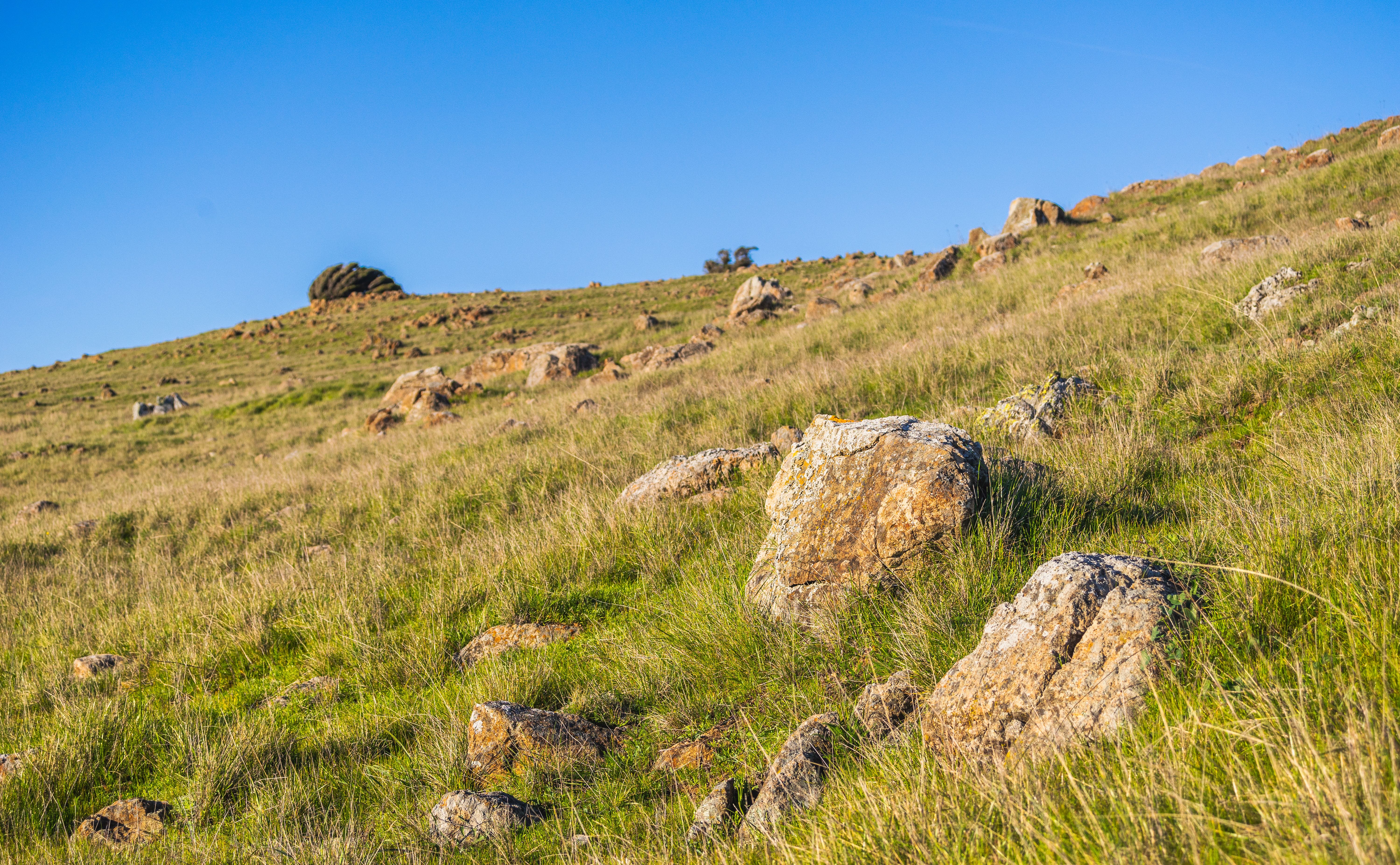 Stones on Field · Free Stock Photo