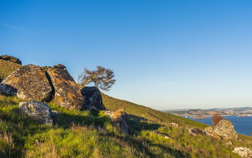 丘, 岩, 晴天の無料の写真素材