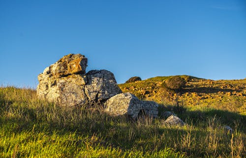 フィールド, 岩, 晴天の無料の写真素材