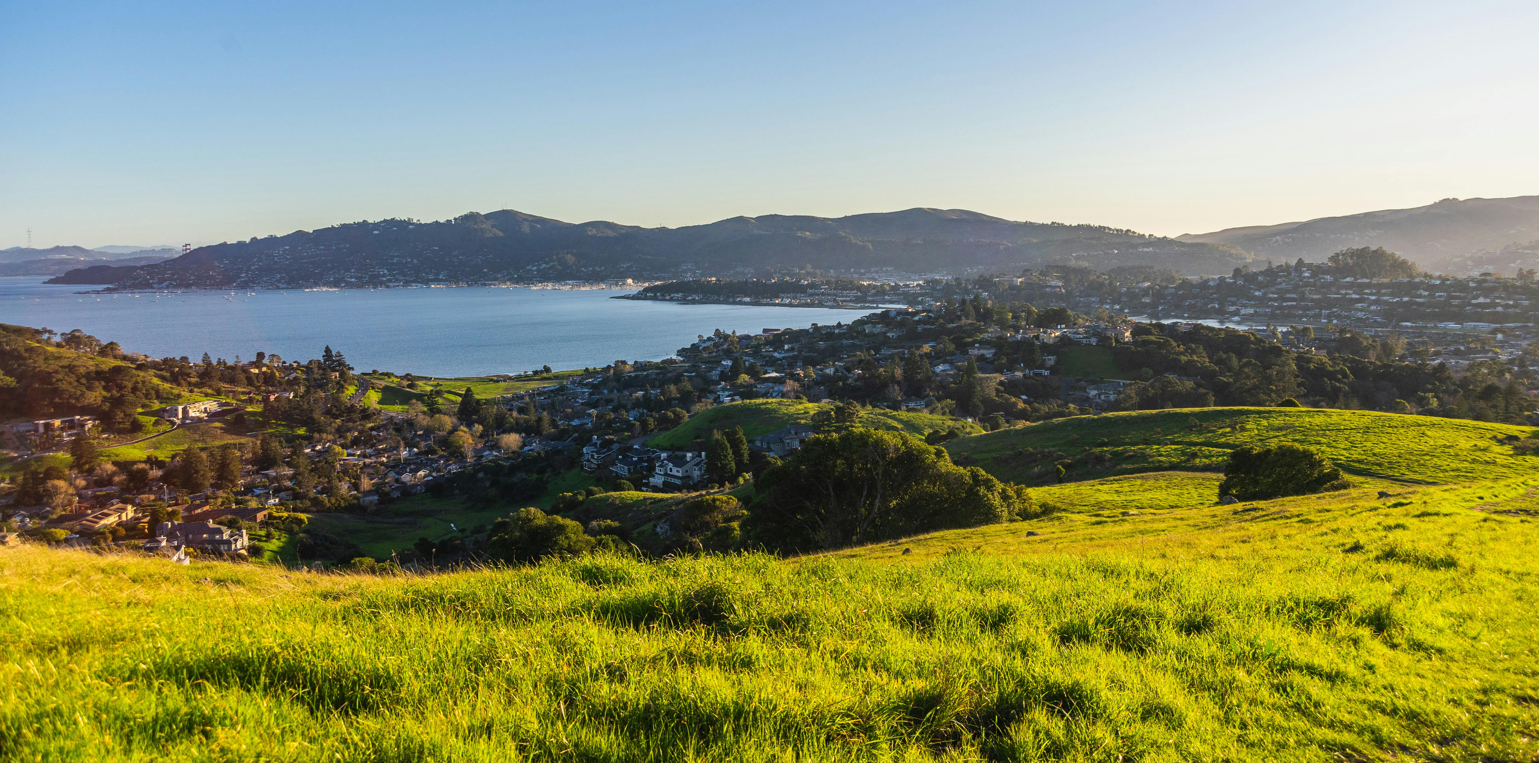 The best real estate brokers in the Bay Area — Photo by Robert So on Pexels