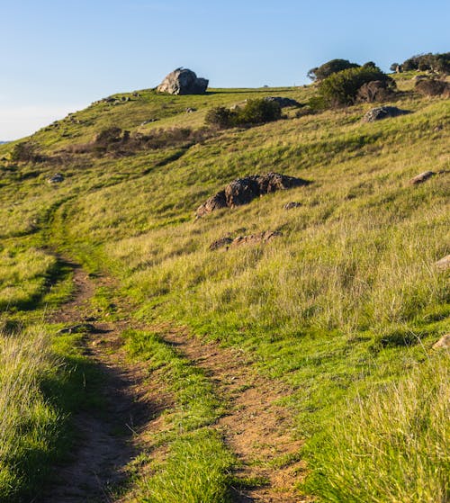 A Rural Landscape