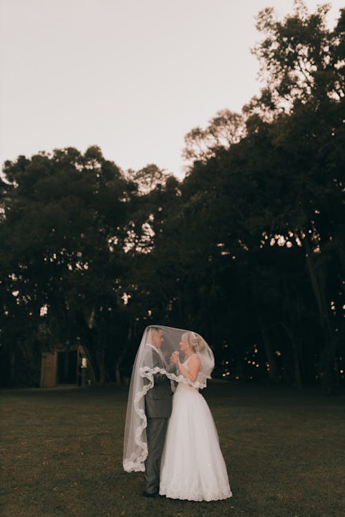 Gratis lagerfoto af brudekjole, bryllupsfotografering, græs