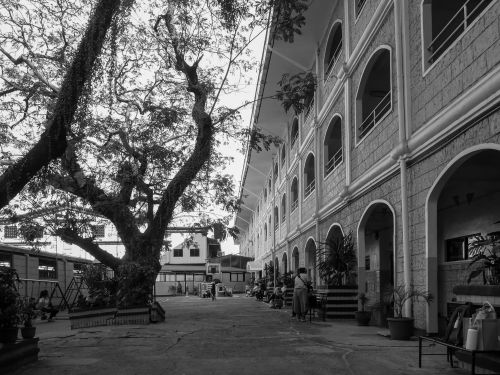 Free Black and white photo of an urban street with a tree and archway architecture in Las Piñas, Philippines. Stock Photo
