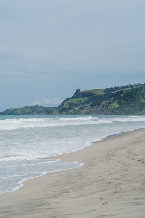 Beach Auckland, New Zealand