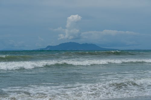 Beach Auckland, New Zealand