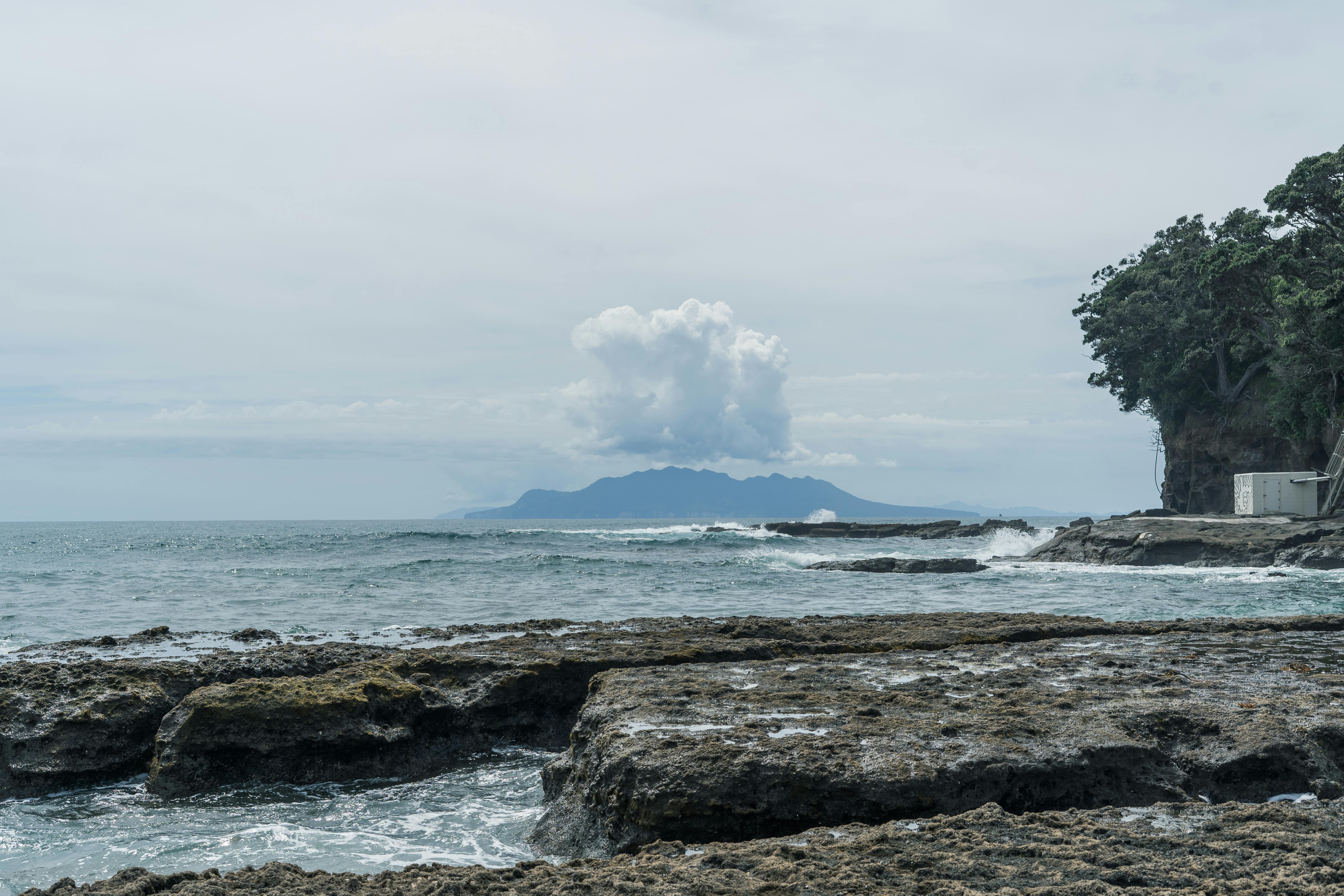 <b>Where to Go: New Zealand's Marine Hotspots</b>