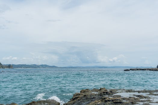 Serene ocean view with rocky shore and distant hills near Auckland, New Zealand.