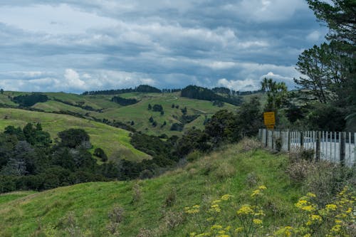 Beautiful New Zealand Landscape
