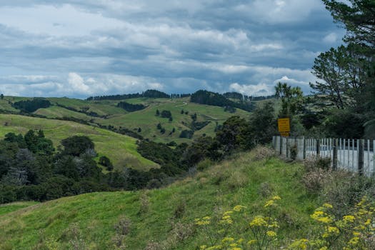 Explore the serene rolling hills and lush greenery of New Zealand's countryside near Auckland.