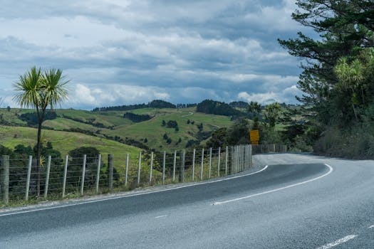 Curved road through lush green hills near Auckland, New Zealand under a cloudy sky.