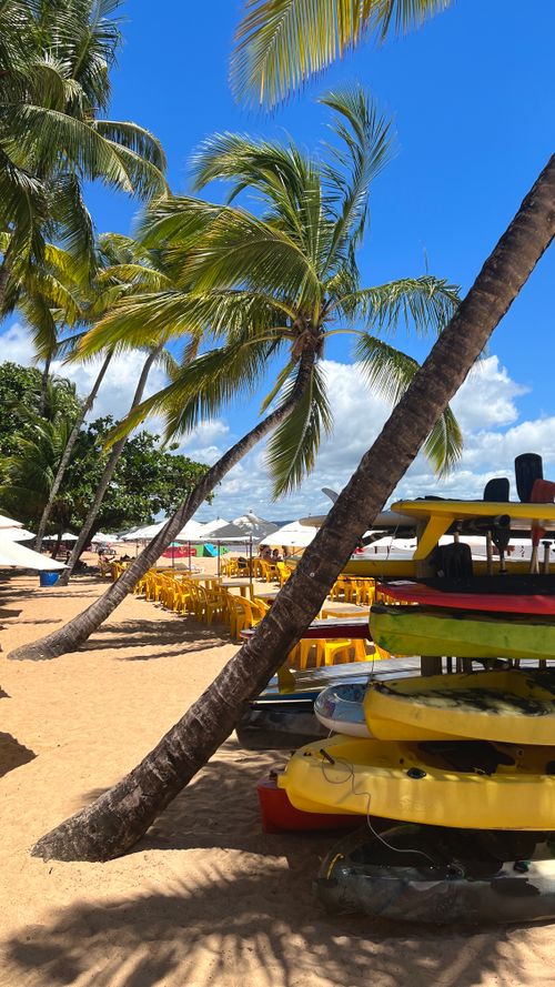 Free Scenic tropical beach scene with palm trees and stacked kayaks, perfect for a summer vacation. Stock Photo
