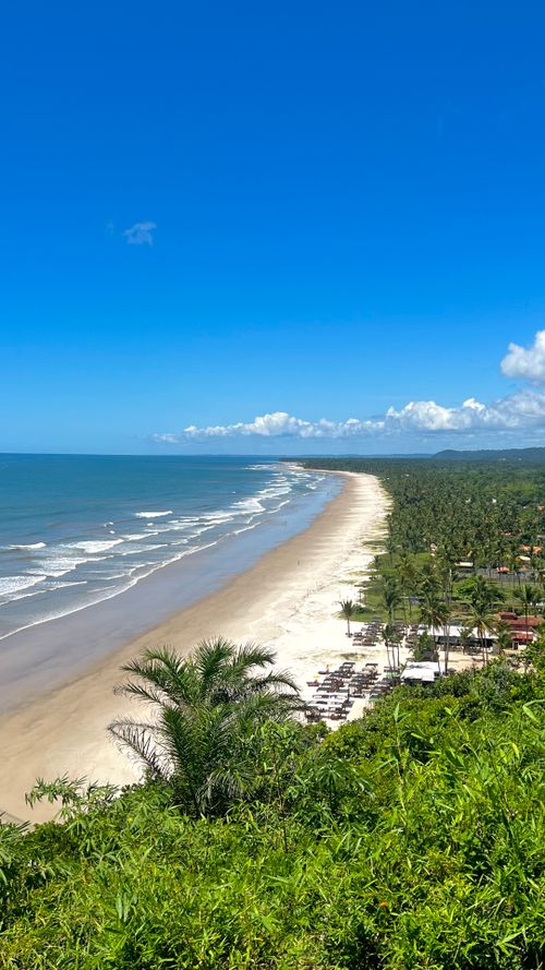 Free Stunning aerial view of a tropical coastline with vibrant greenery and clear blue sky. Stock Photo