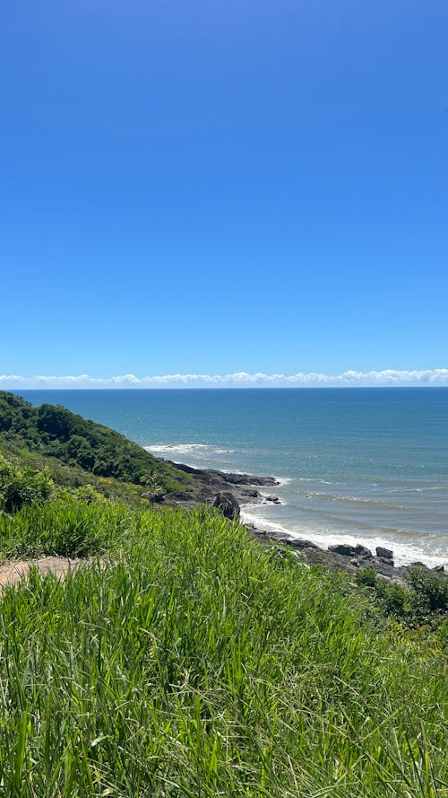 A grassy hill overlooking the ocean and grassy area