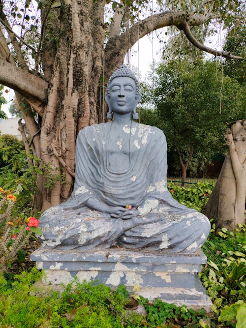 A buddha statue sits in the middle of a garden